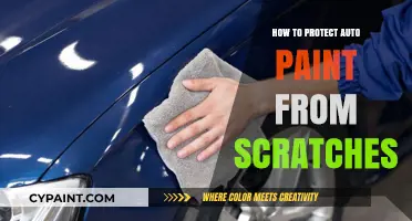 Effective Tips to Safeguard Your Car’s Paint from Scratches