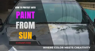 Shield Your Car's Paint: Effective Sun Protection Tips for Auto Owners