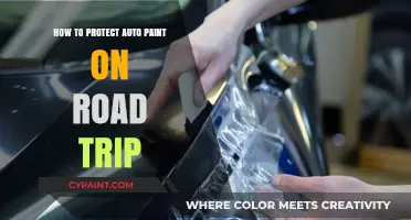 Essential Tips to Safeguard Your Car's Paint on Long Road Trips