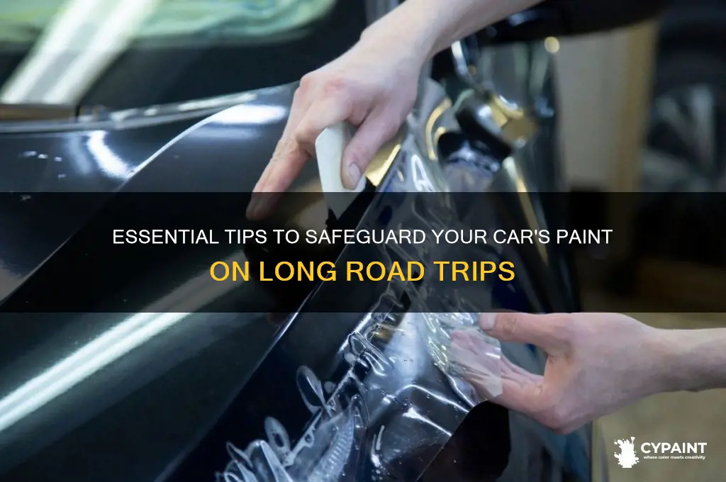 how to protect auto paint on road trip