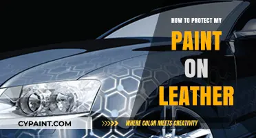 Protecting Leather Paint: Essential Tips for Long-Lasting Shine and Durability