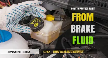 Shield Your Paint: Effective Ways to Prevent Brake Fluid Damage
