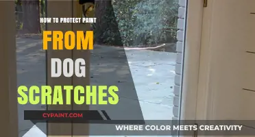 Prevent Dog Scratches: Tips to Protect Your Paint and Walls