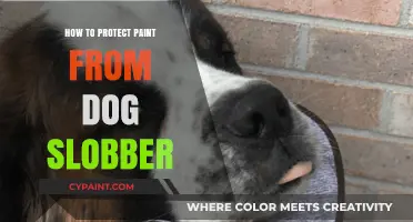 Shielding Your Walls: Effective Tips to Protect Paint from Dog Slobber