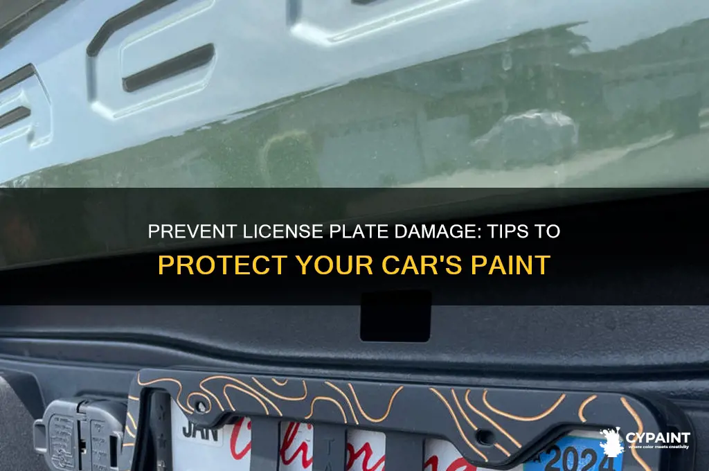 Prevent License Plate Damage: Tips To Protect Your Car's Paint | CyPaint