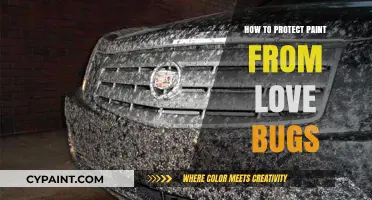 Effective Tips to Shield Your Car's Paint from Love Bugs