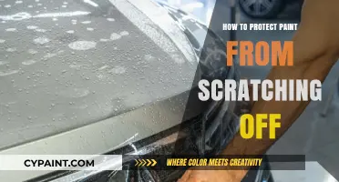 Prevent Paint Scratches: Essential Tips to Protect Your Surface Finish