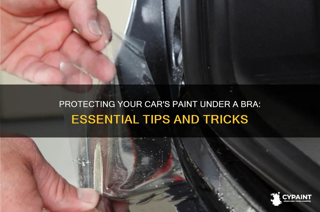 how to protect paint under a bra