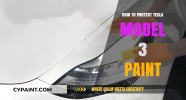 Ultimate Guide to Safeguarding Your Tesla Model 3's Paint Finish