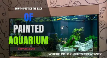 Safeguarding Your Painted Aquarium: Tips to Protect the Back Surface