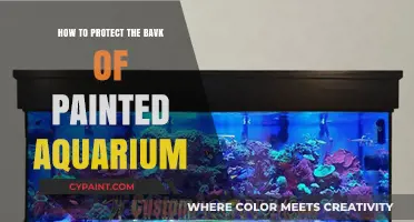 Safeguarding Your Painted Aquarium: Tips to Protect the Back Panel