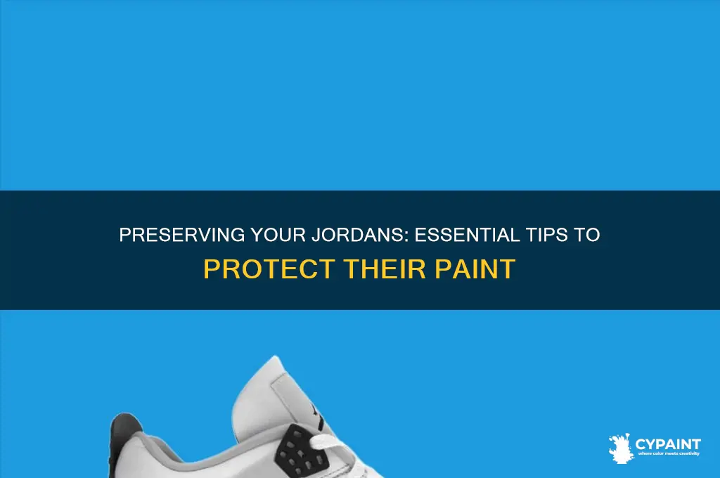 how to protect the paint of jordans