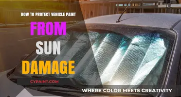 Shield Your Car's Paint: Effective Sun Damage Prevention Tips