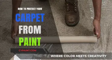 Effective Tips to Safeguard Your Carpet During Painting Projects