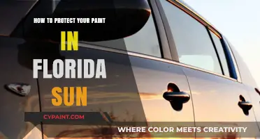 Shielding Your Car's Paint from Florida's Intense Sun Damage