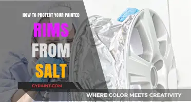 Shield Your Painted Rims: Effective Salt Protection Tips for Winter