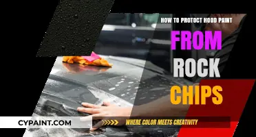 Shield Your Hood: Effective Tips to Prevent Rock Chip Paint Damage