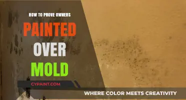 Uncovering Hidden Mold: Proving Landlords Painted Over the Problem
