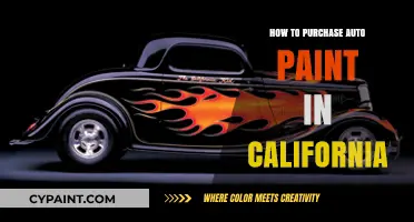 California Auto Paint Buying Guide: Tips for the Perfect Purchase