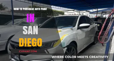 San Diego Auto Paint Buying Guide: Tips for the Perfect Purchase