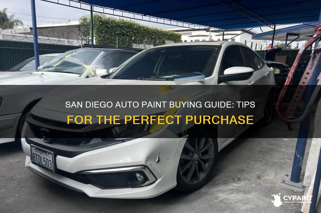 how to purchase auto paint in san diego