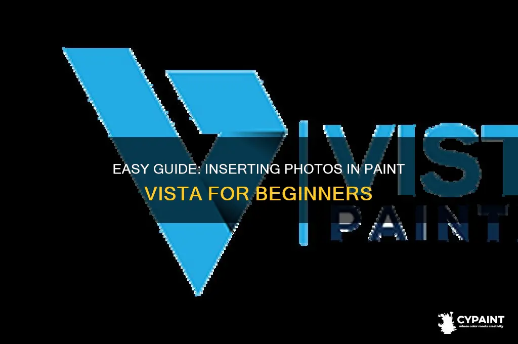 how to put a photo in paint vista