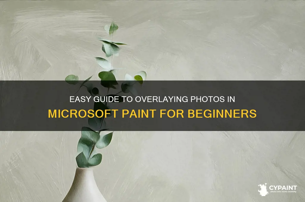 how to put a photo on a photo in paint