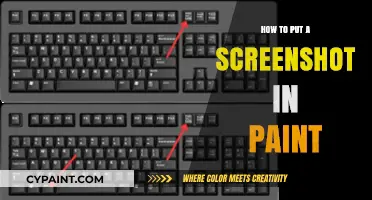 Quick Guide: Inserting Screenshots into Paint Effortlessly