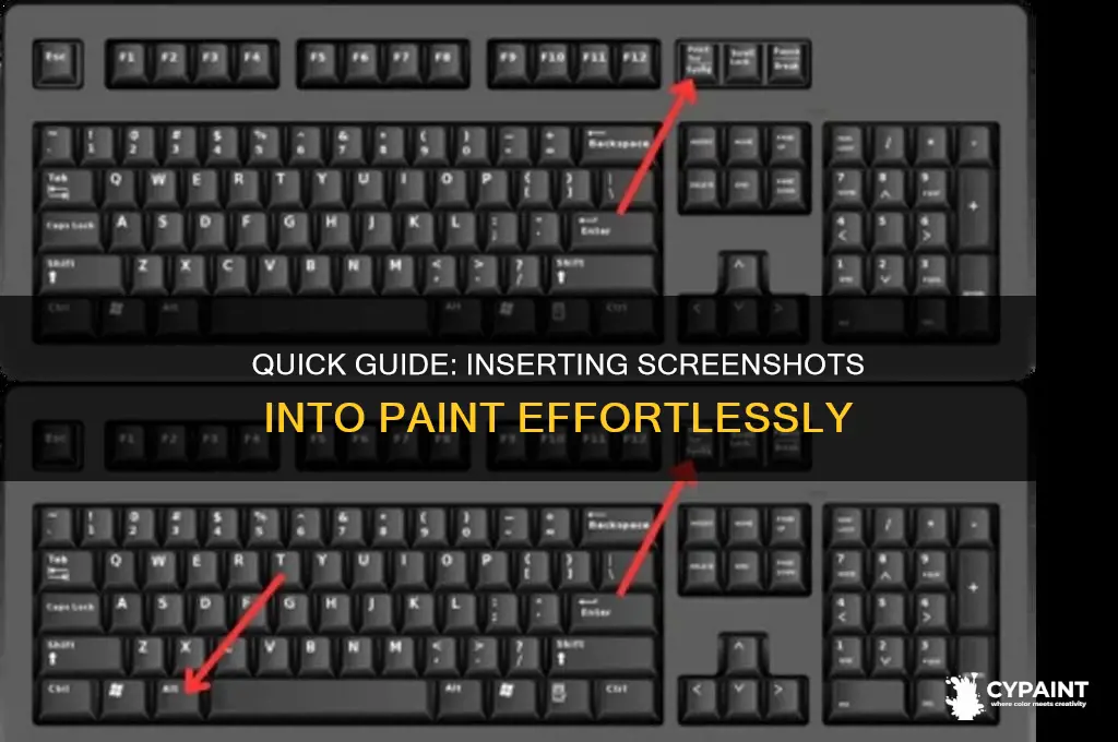 how to put a screenshot in paint