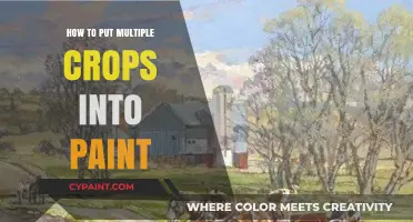 Mastering Paint: Techniques for Adding Multiple Crops to Your Art