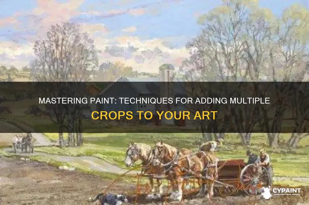 how to put multiple crops into paint