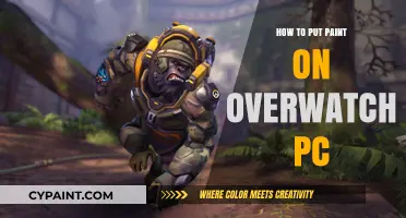 Mastering Overwatch PC Paint Application: A Step-by-Step Customization Guide