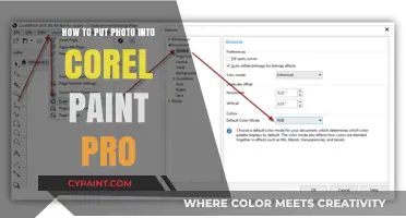 Mastering Corel Paint Pro: Easy Steps to Insert Photos