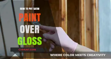 Transform Gloss to Satin: A Step-by-Step Painting Guide