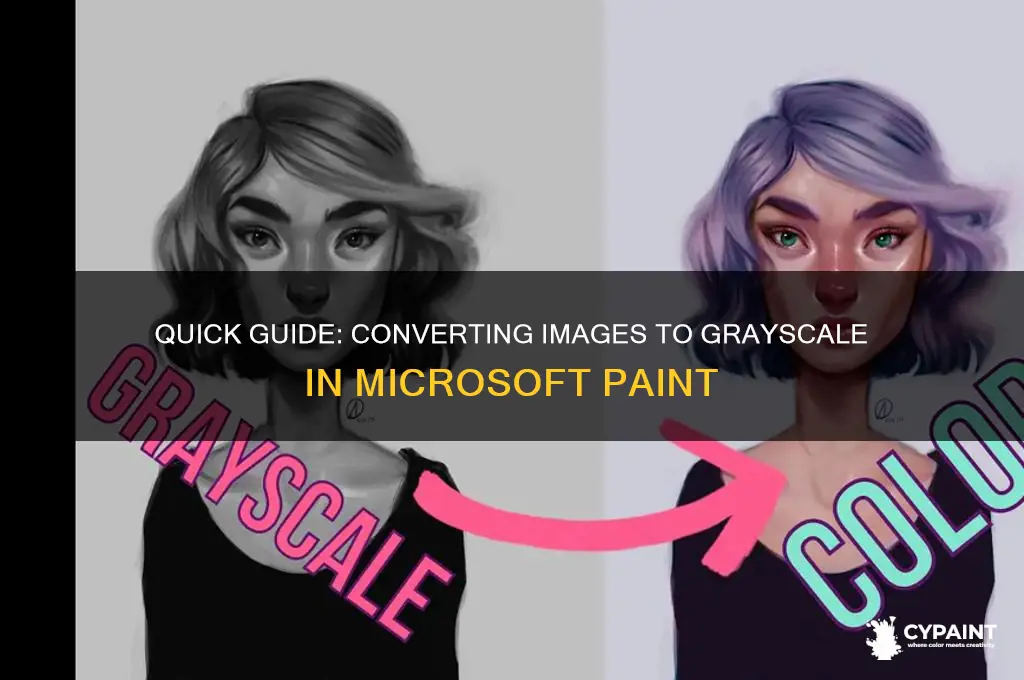 how to put something in grayscale in paint