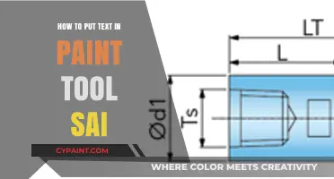 Mastering Text Insertion in Paint Tool SAI: A Step-by-Step Guide