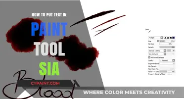 Mastering Paint Tool SAI: A Beginner's Guide to Adding Text