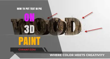 Inserting Text in 3D Paint: A Step-by-Step Guide