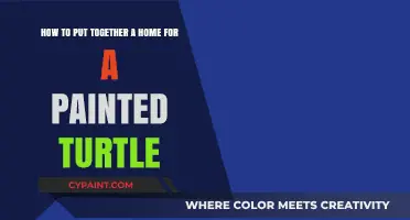 Creating the Perfect Habitat: A Guide to Housing Painted Turtles