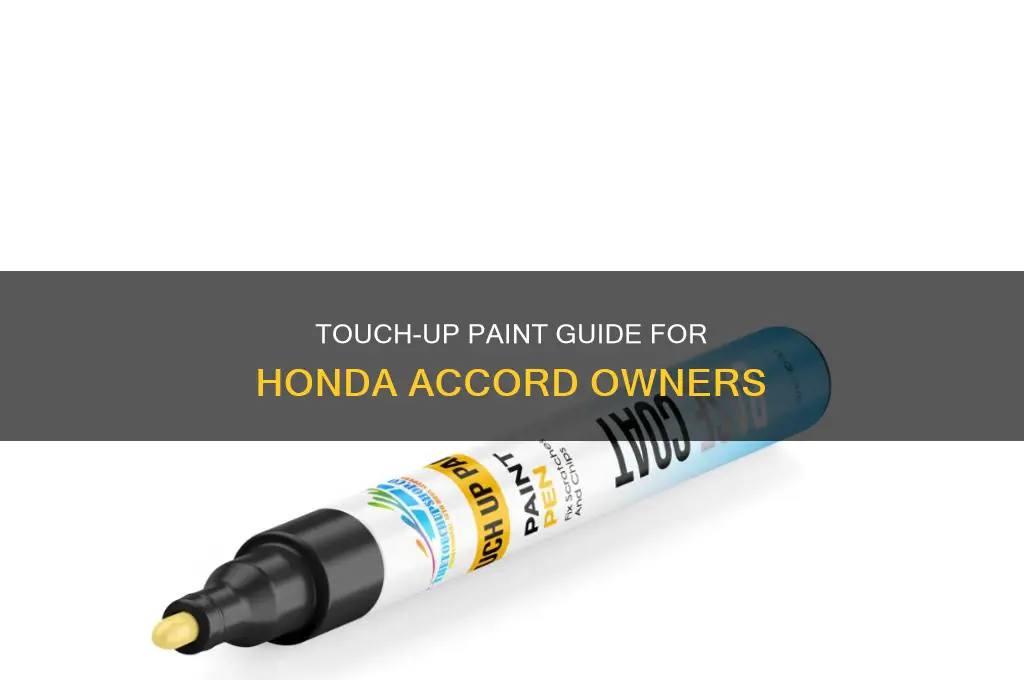 how to put touch up paint on honda accord