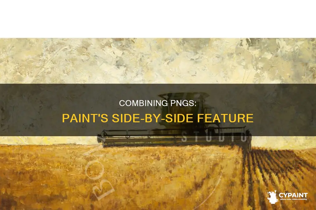 how to put two png side by side paint