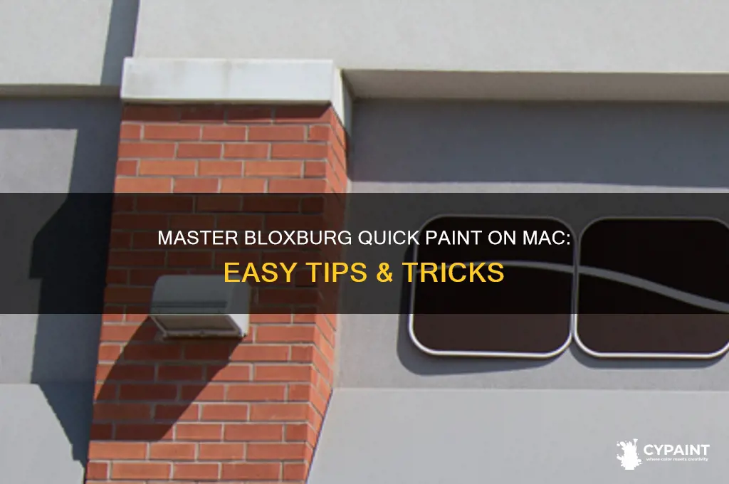 how to quick paint on bloxburg on mac