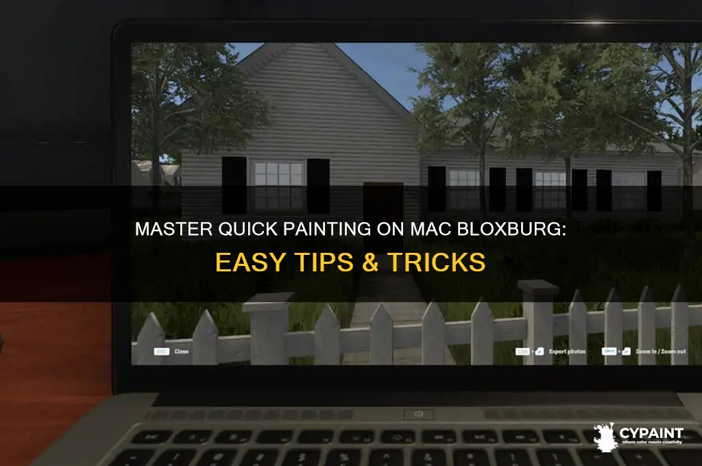 how to quick paint on mac bloxburg