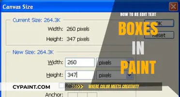 Mastering Paint: Re-Editing Text Boxes Like a Pro