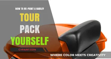 The Perfect Harley Tour Pack Repaint Job