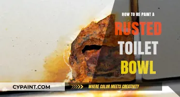 Revive Your Rusted Toilet Bowl: A Step-by-Step Repainting Guide