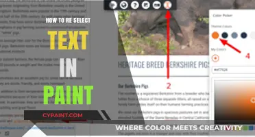 Mastering Text Editing: How to Reselect Text in Paint Easily