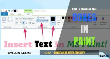 Mastering Paint: Reaccessing Text Boxes with Ease and Precision