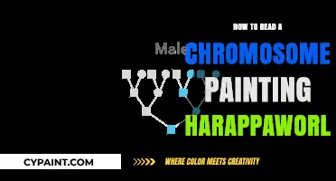 Decoding HarappaWorld's Chromosome Painting: A Step-by-Step Reading Guide