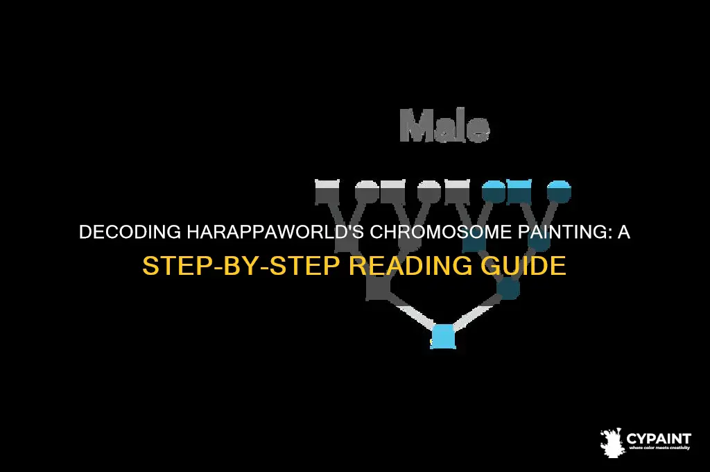 how to read a chromosome painting harappaworld